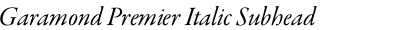 Garamond Premier Italic Subhead